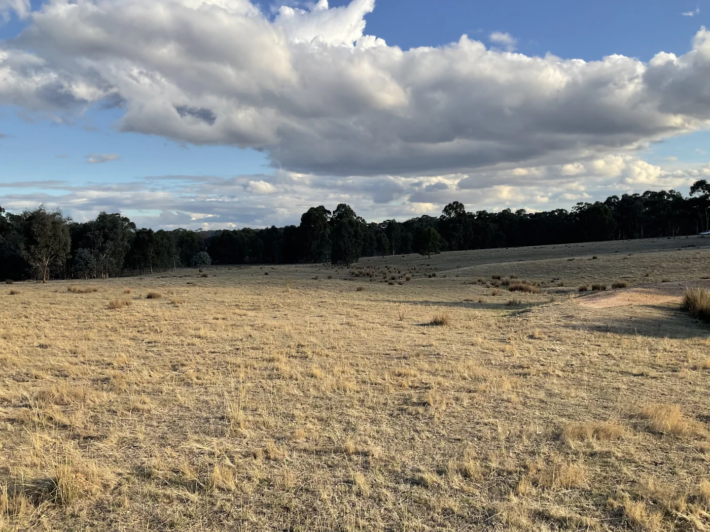 Additional image 8 of Rocky Ridge Road, Carapooee VIC 3477