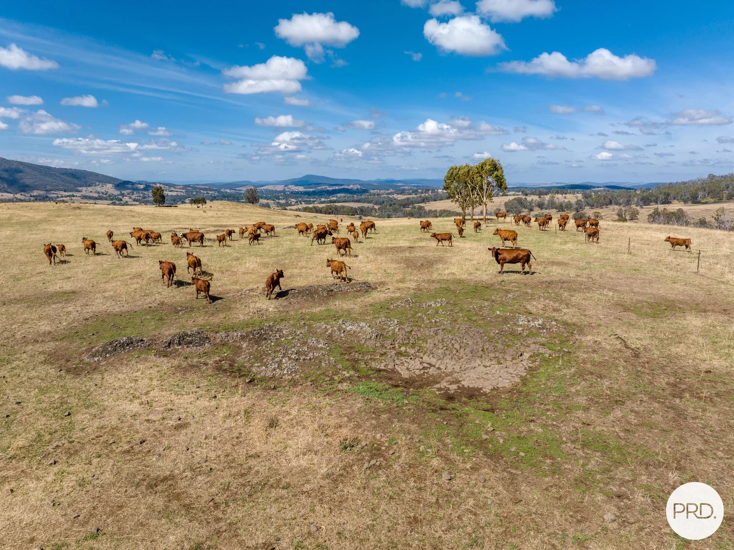 Additional image 26 of 1100 Batlow Road, Tumbarumba NSW 2653