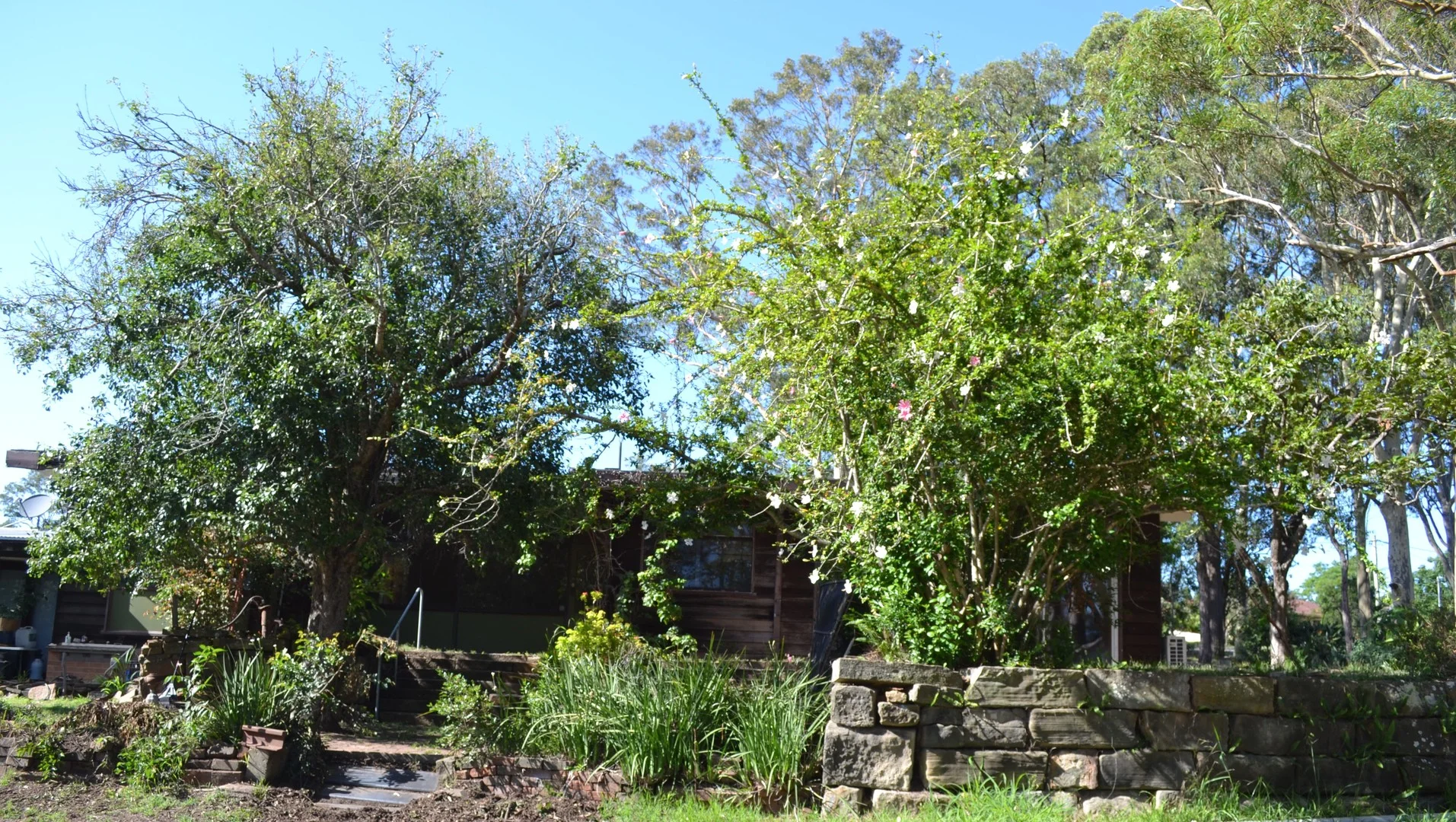 Additional image 4 of 22 Wesley Street, Bolwarra Heights NSW 2320