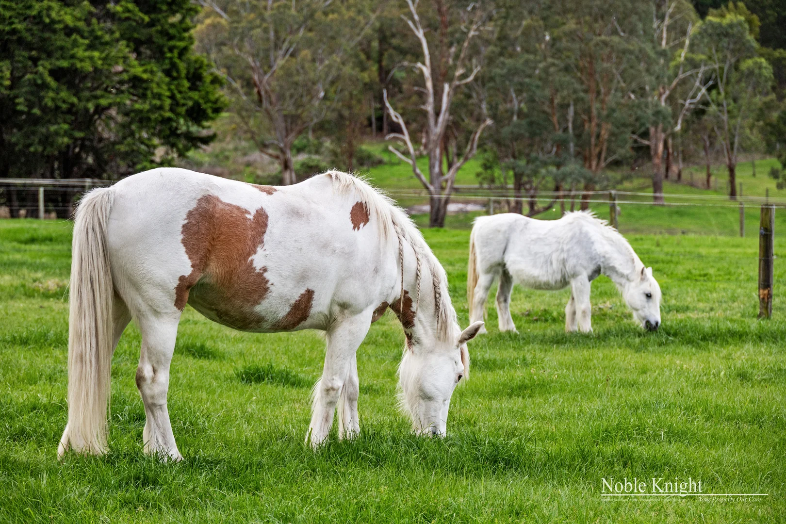 Additional image 34 of 102 Glenview Road, Yarra Glen VIC 3775