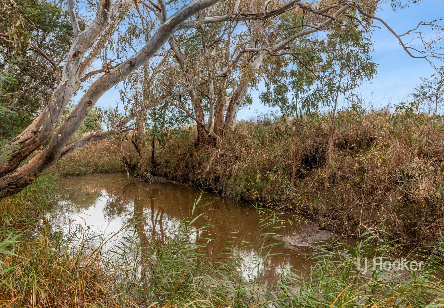 Additional image 3 of 31B/420 Tallarook-Pyalong Road, Tallarook VIC 3659