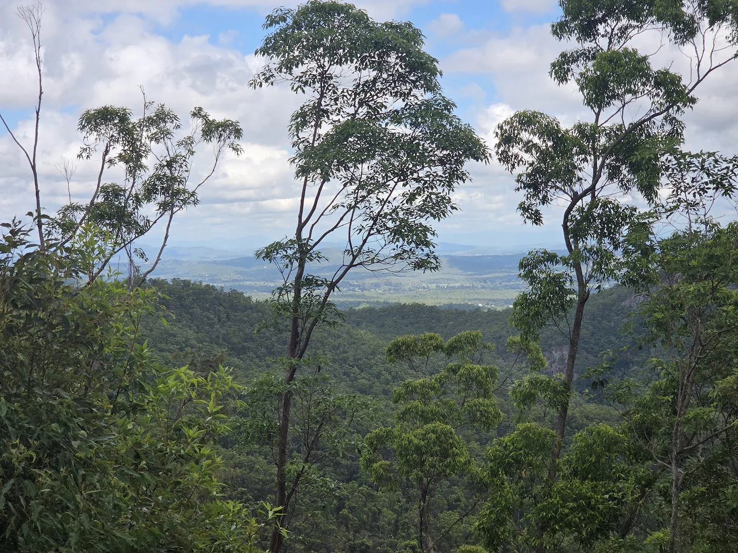 Additional image 5 of 1610 Tamborine Oxenford Road, Wongawallan QLD 4210