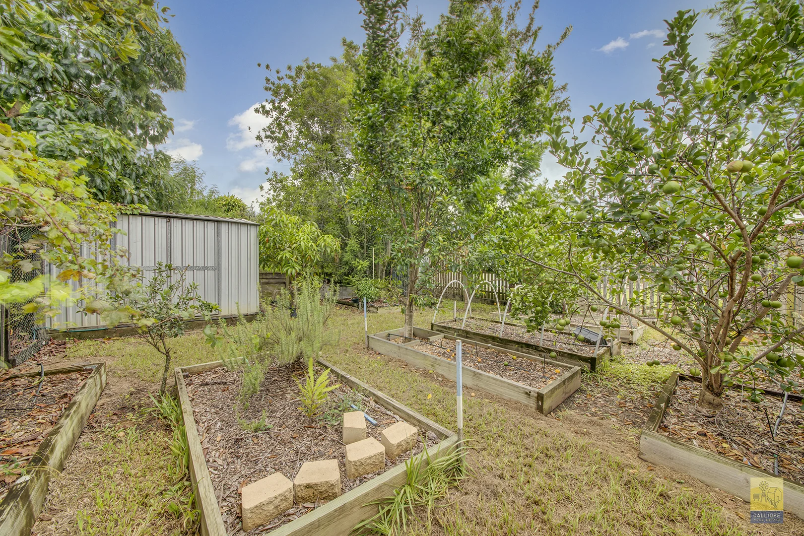 Additional image 18 of 3 Mulligan Crescent, Calliope QLD 4680