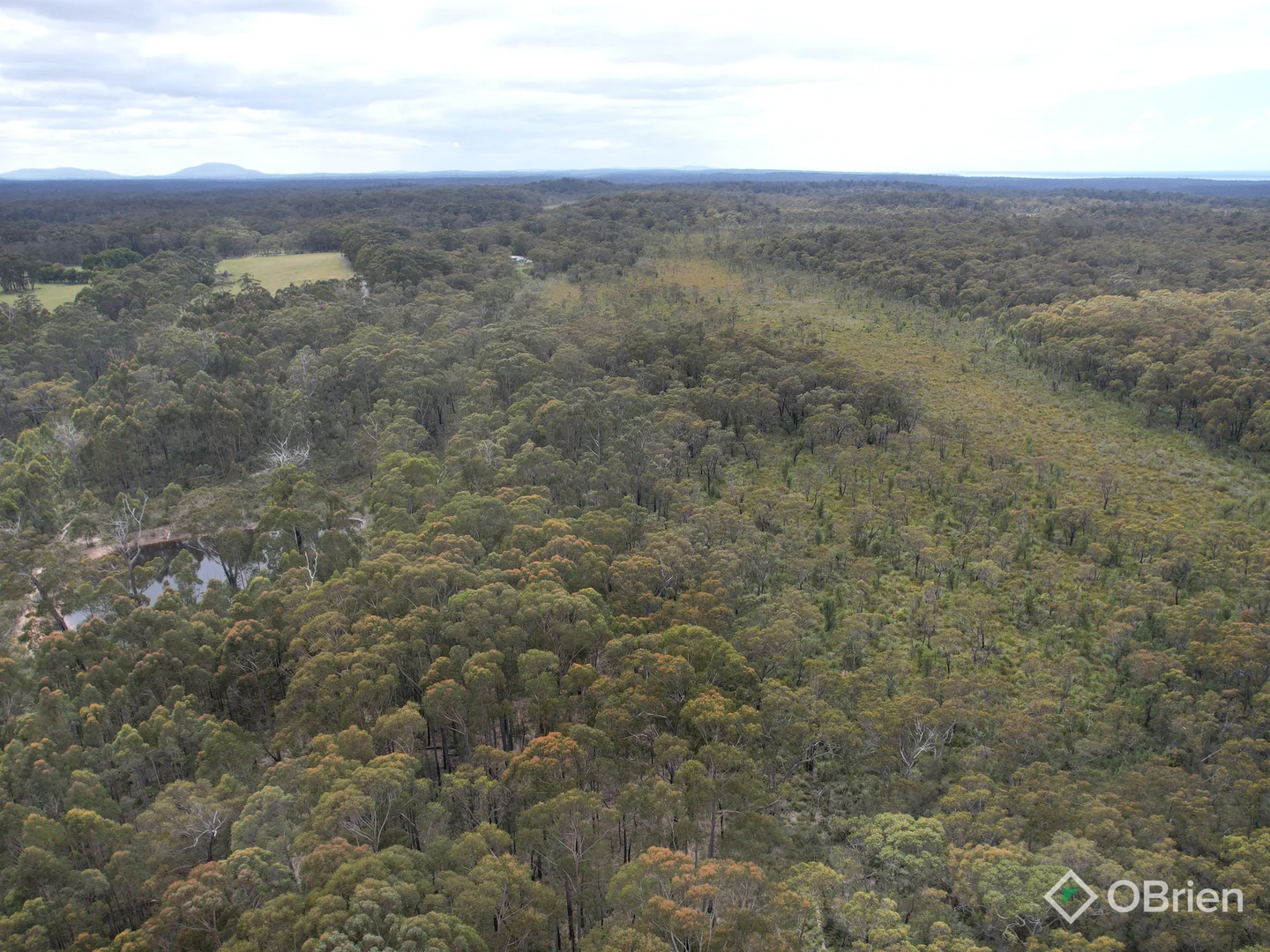 Additional image 4 of 726 Cabbage Tree-Conran Road, Marlo VIC 3888