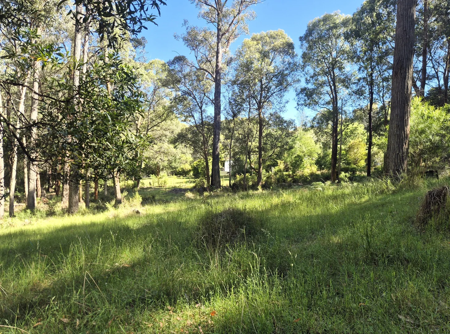 Additional image 2 of 22 Fisherman Drive, Reefton VIC 3799