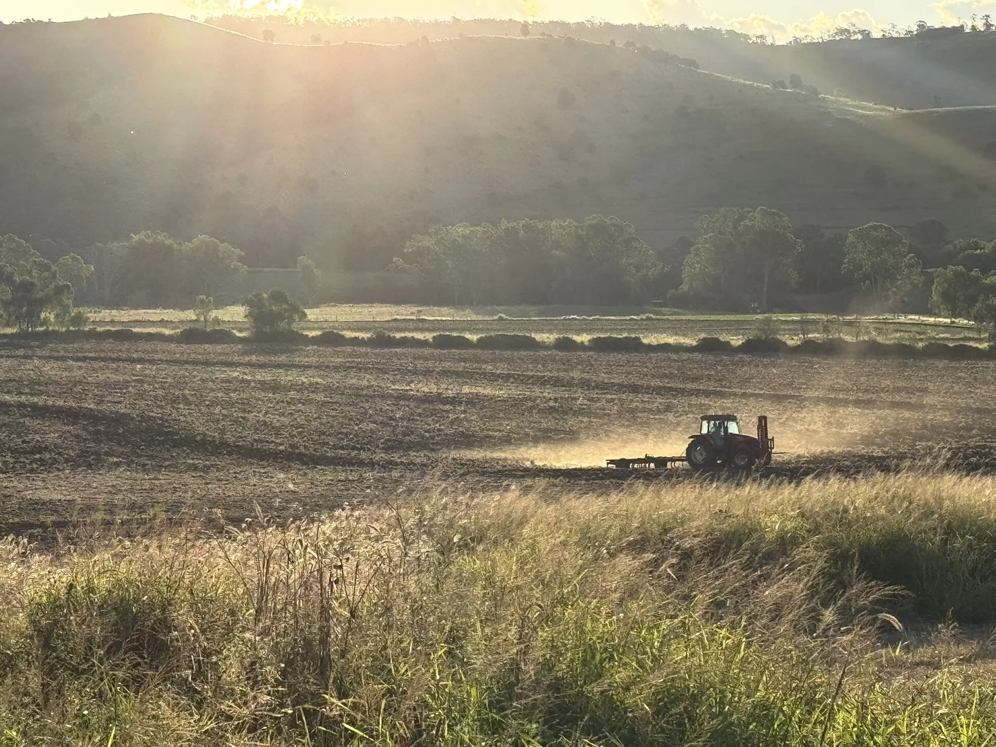 Additional image 12 of 231 Dascombe Road, Coalbank QLD 4352