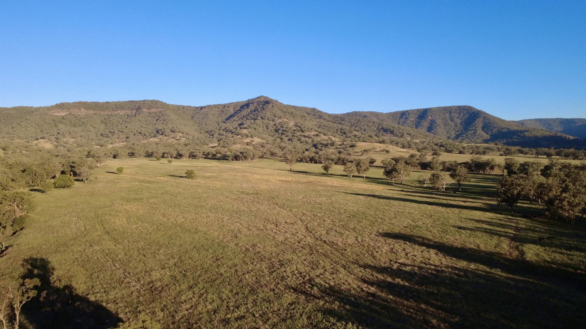 Additional image 2 of "Bindi" 1229 Bundella Creek Road Bundella Via, Quirindi NSW 2343