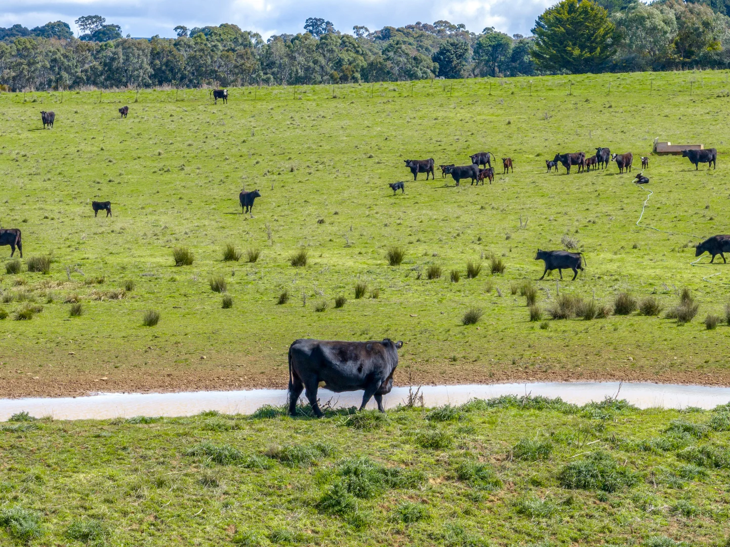 Additional image 2 of 85/1182 Yalbraith Road, Taralga NSW 2580