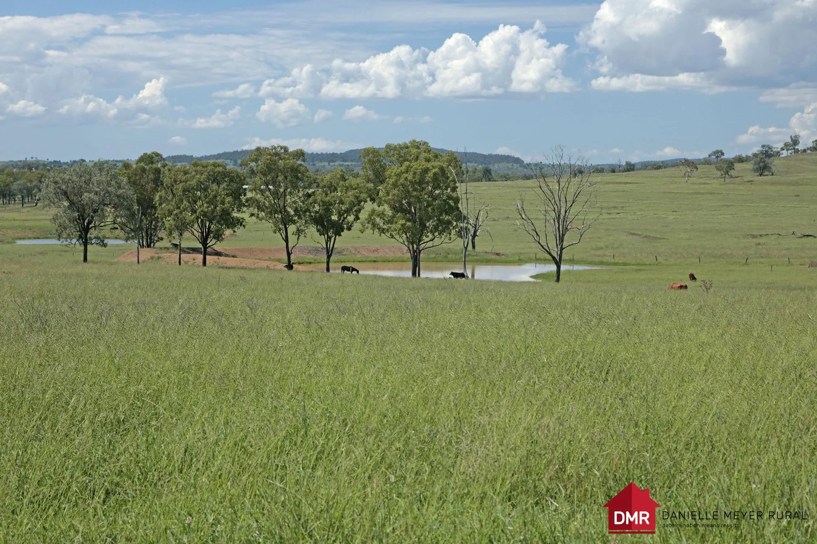 Additional image 11 of 95 Monto Mount Perry Road, Tellebang QLD 4630