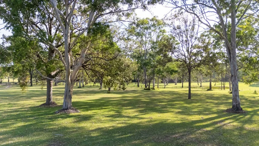 Additional image 20 of 1963 Armidale Road, Coutts Crossing NSW 2460