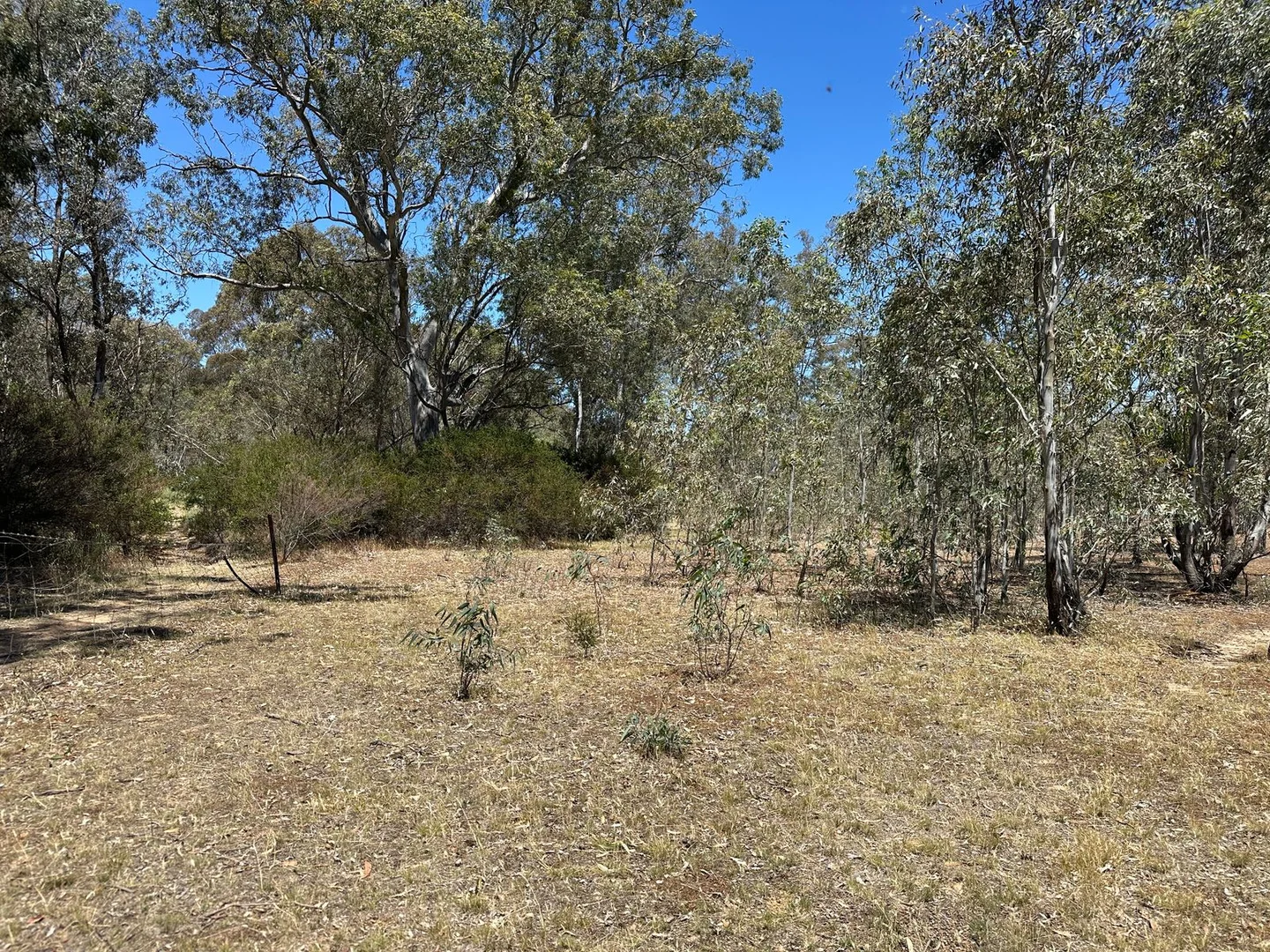 Additional image 5 of CA 58 Sec 9 Nesbit Road, Majorca VIC 3465