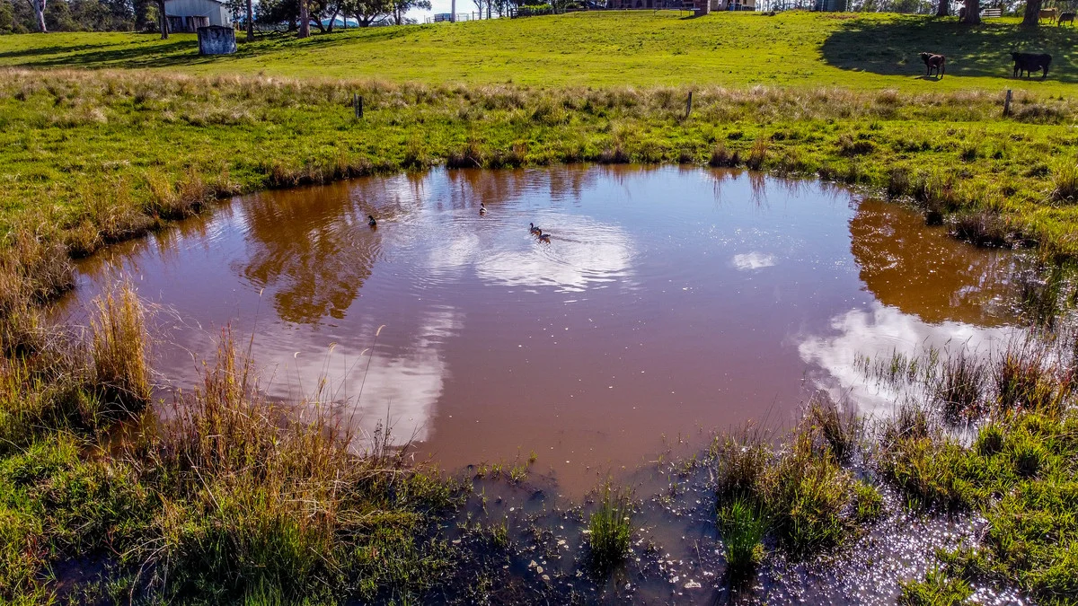 Additional image 7 of 315 Myrtle Creek Road, Myrtle Creek NSW 2469