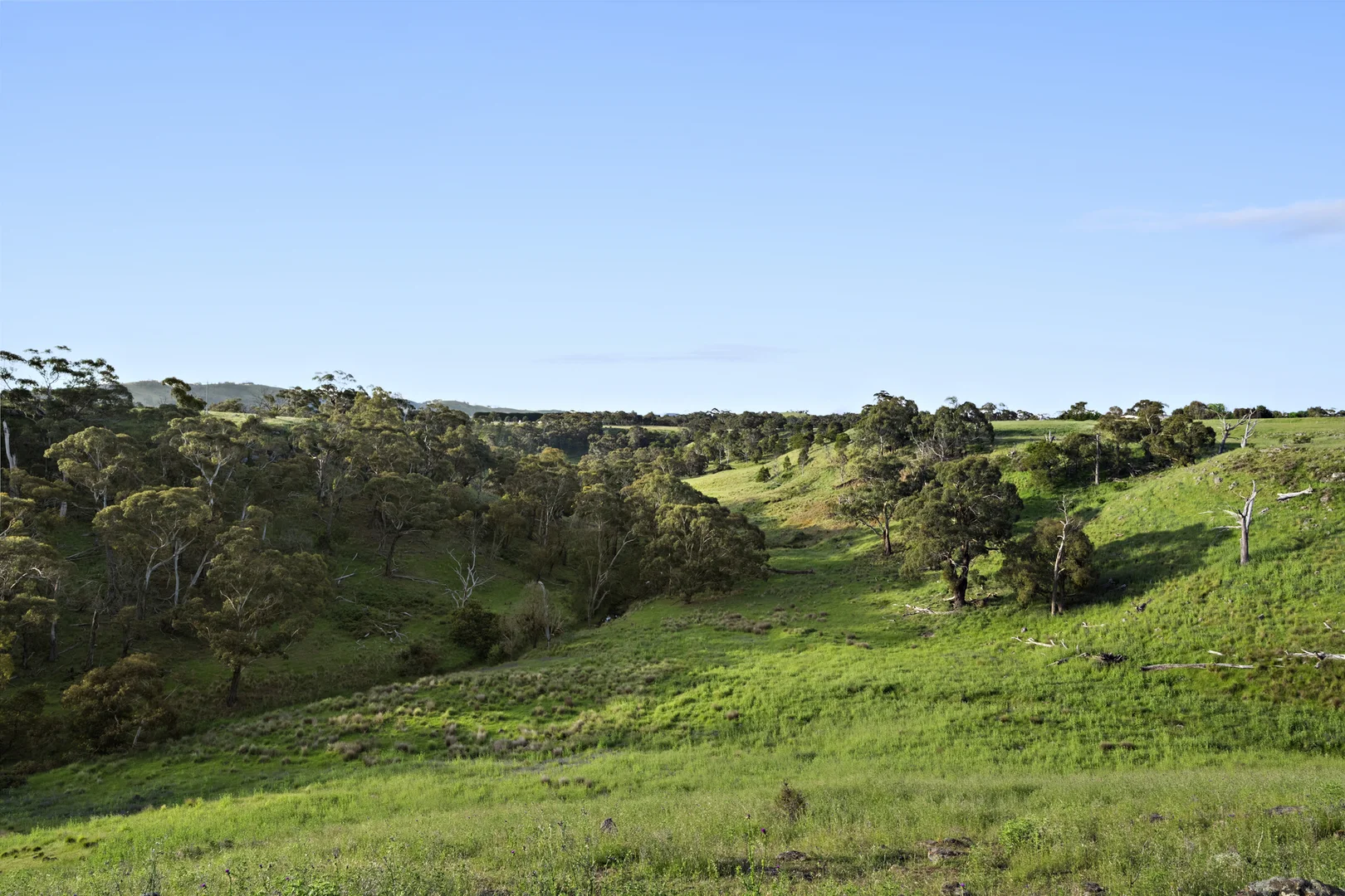 Additional image 12 of 1133 Kilmore Lancefield Road, Springfield VIC 3434