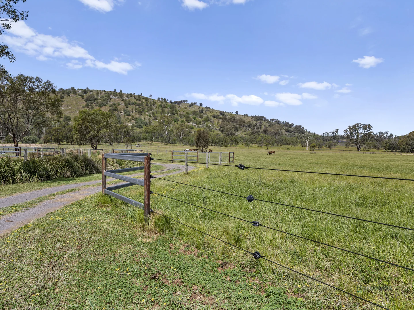Additional image 22 of 778 Sheans Creek Road, Euroa VIC 3666