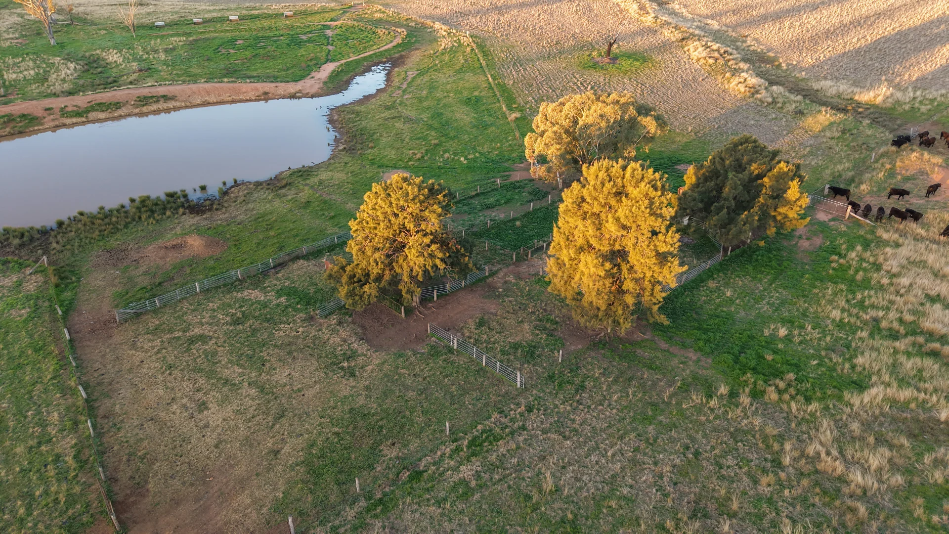 Additional image 21 of 38 Tallawonga Road, Elong Elong NSW 2831