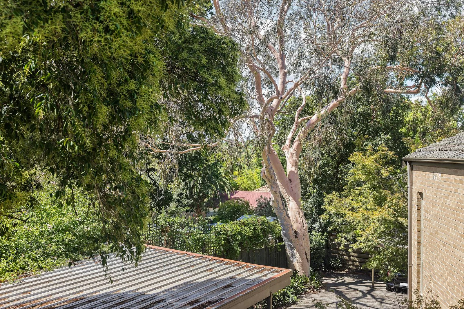 Additional image 14 of 6/134 Marshall Street, Ivanhoe VIC 3079