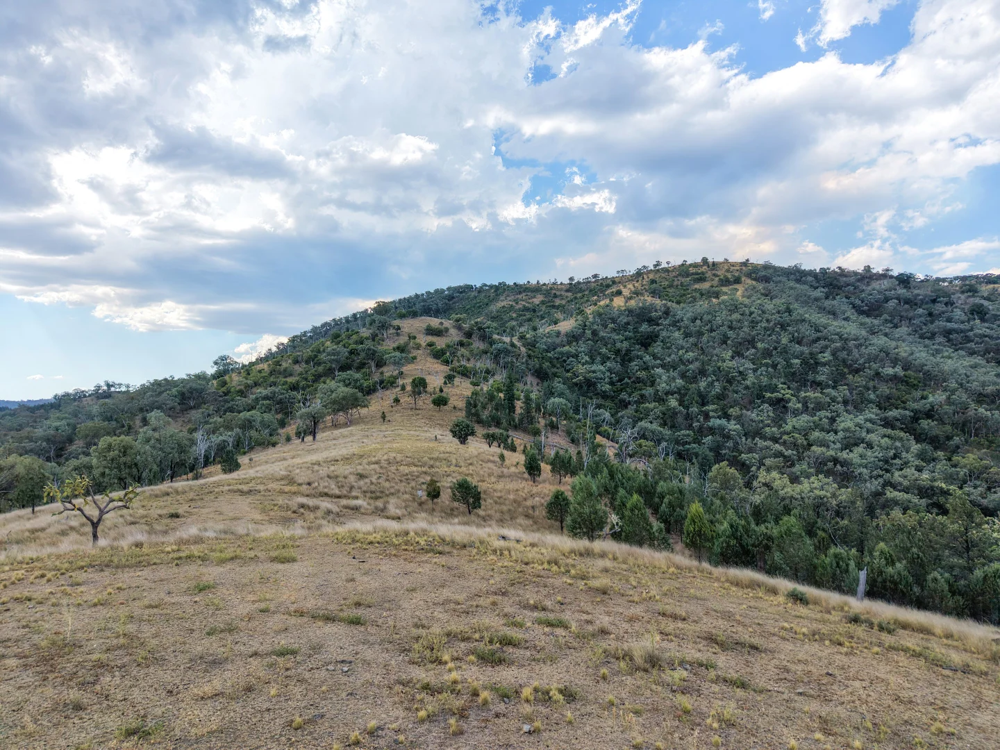 Additional image 22 of Lot 21 Gibraltar Road, Tenterfield NSW 2372