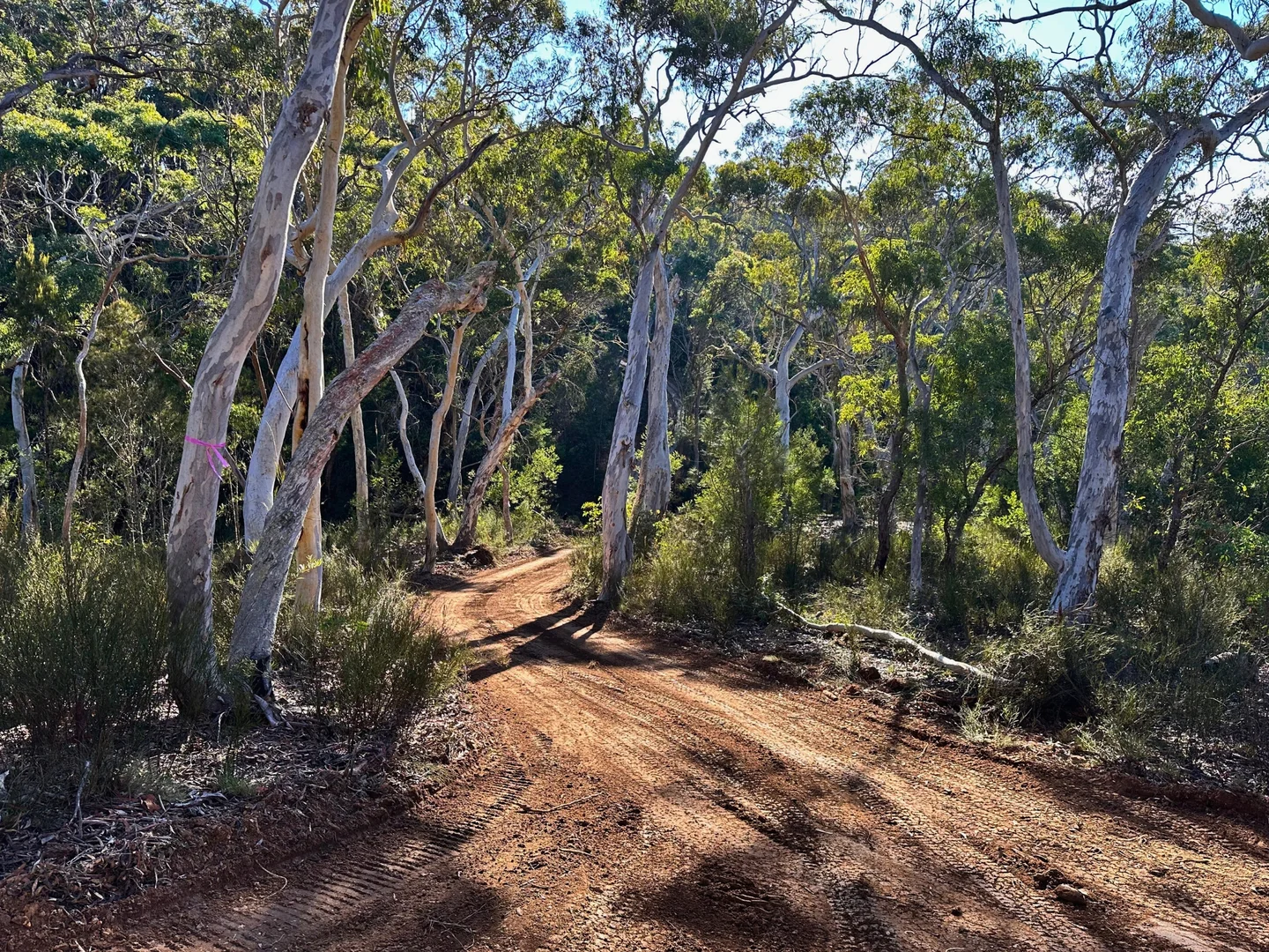 Additional image 10 of 14 Ningee Nimbell Creek Road, Braidwood NSW 2622