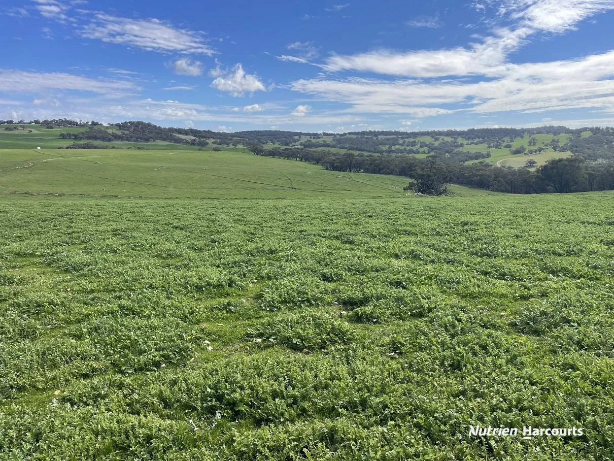 Additional image 6 of 967 Northam-Toodyay Road, Katrine WA 6401