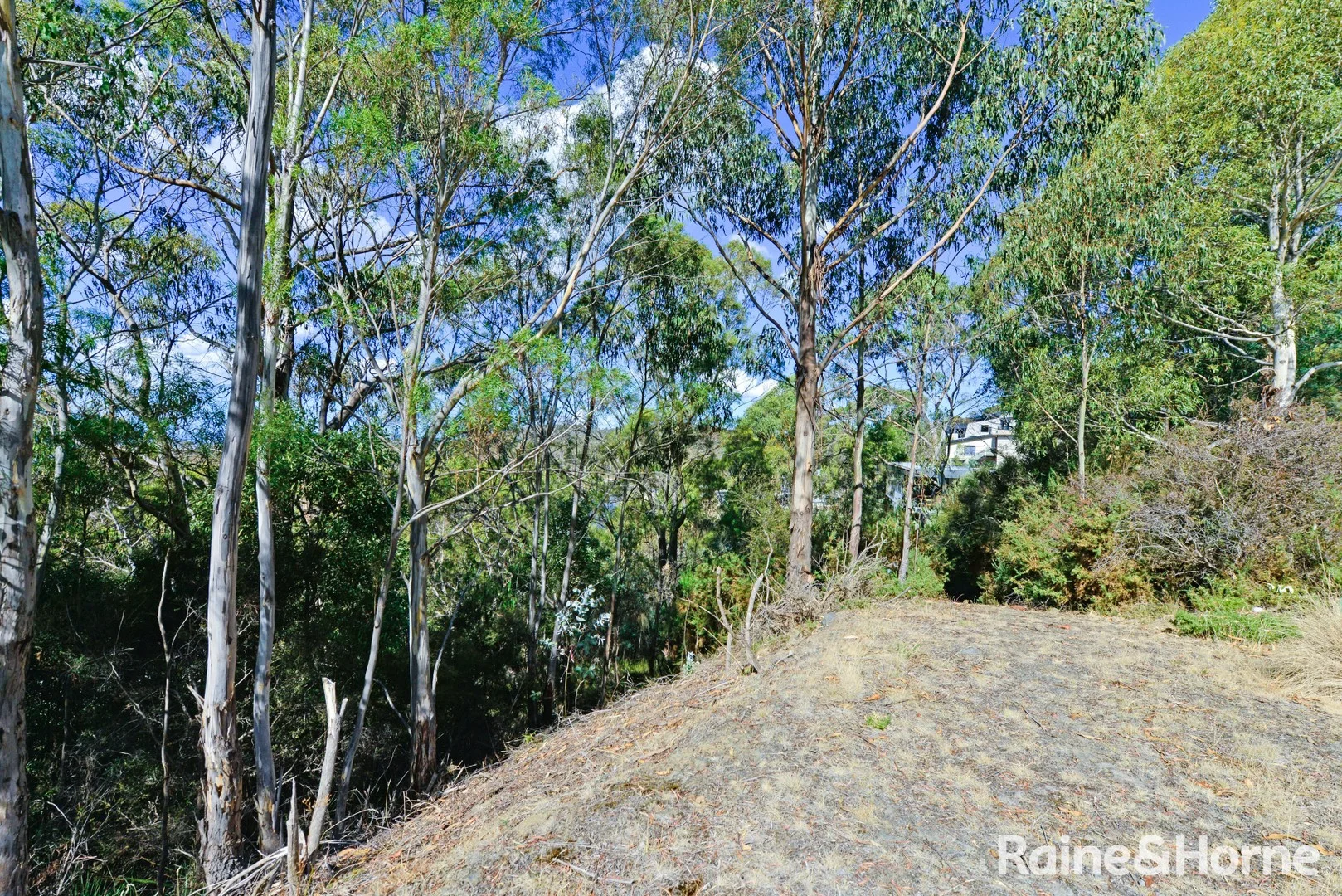 39 Woodcutters Road, Tolmans Hill TAS 7007