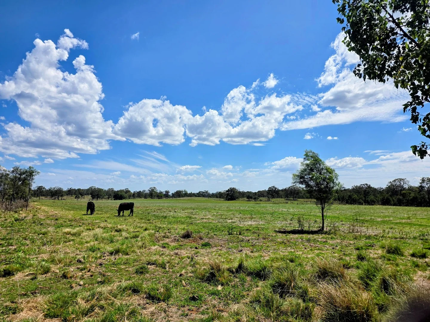 Additional image 3 of 448 Groomsville Road, Geham QLD 4352