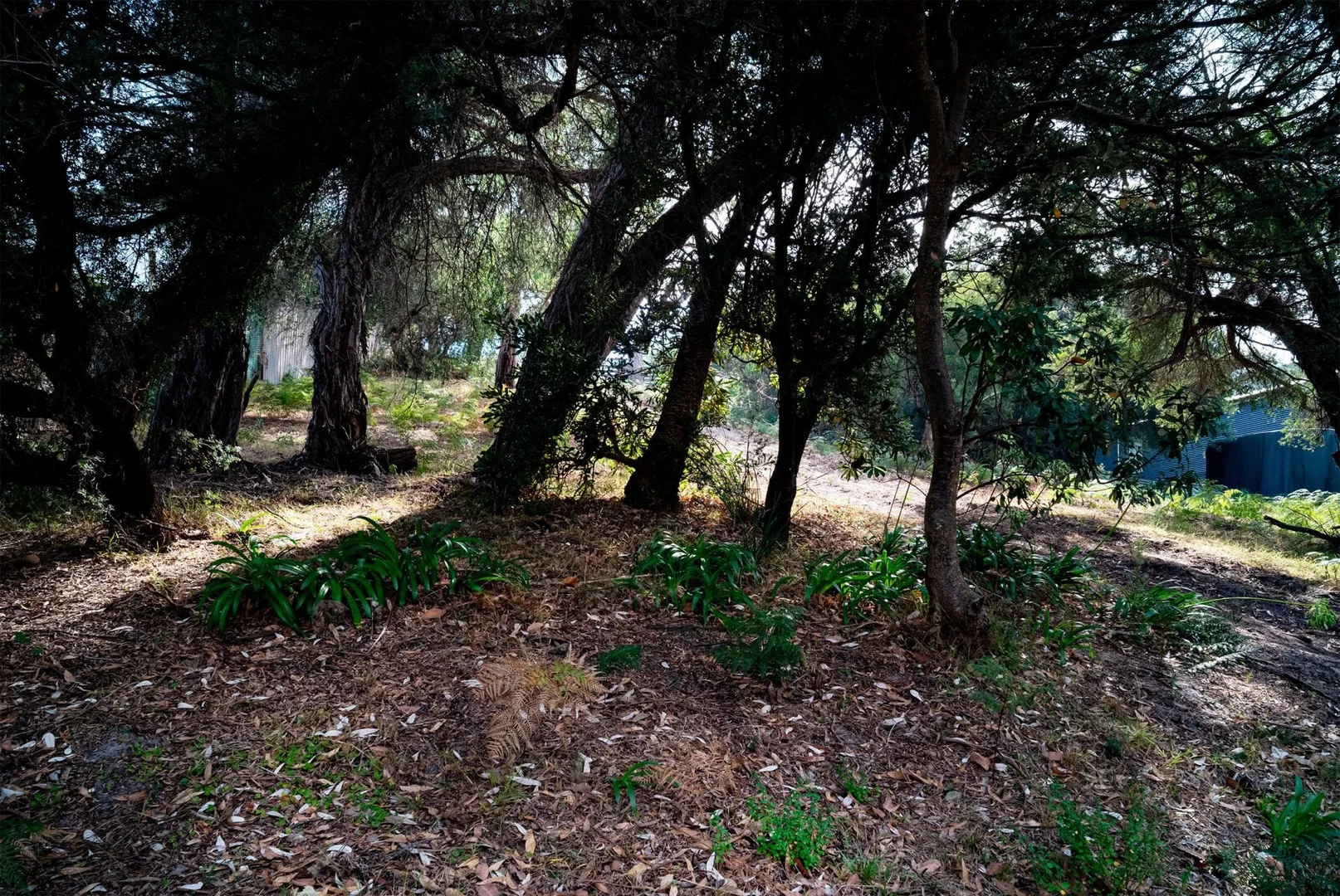 Additional image 7 of 139 Toorak Avenue, Loch Sport VIC 3851