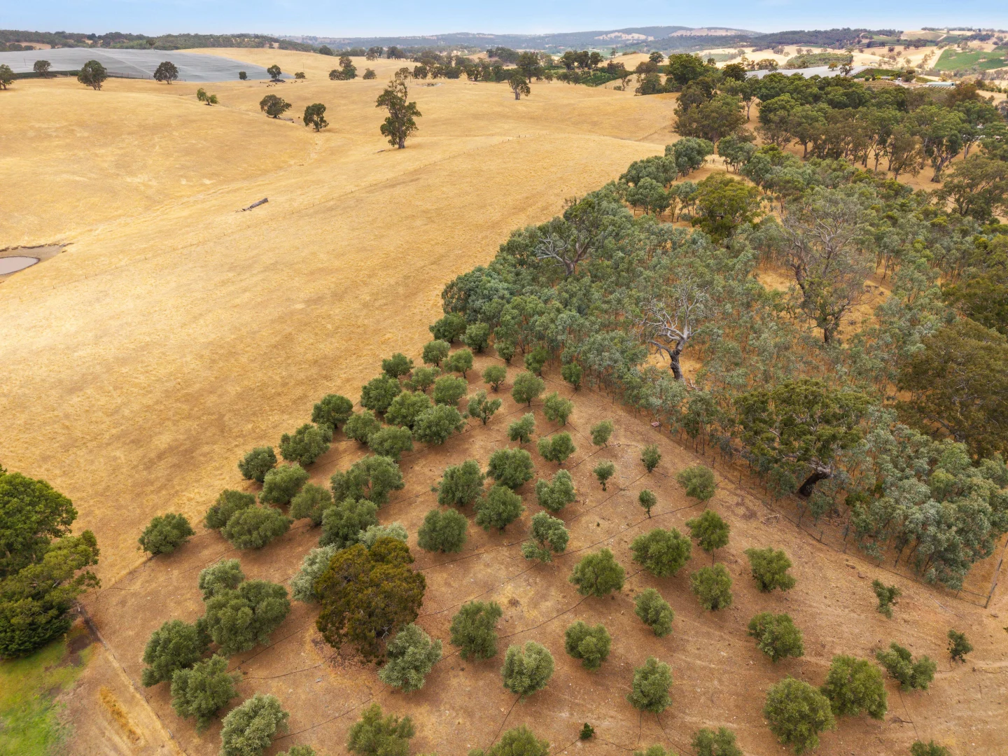 Additional image 12 of 226 Forreston Road, Forreston SA 5233