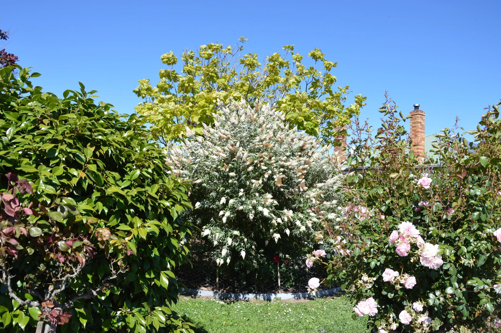 Additional image 13 of 122 Bells Road, Loch VIC 3945