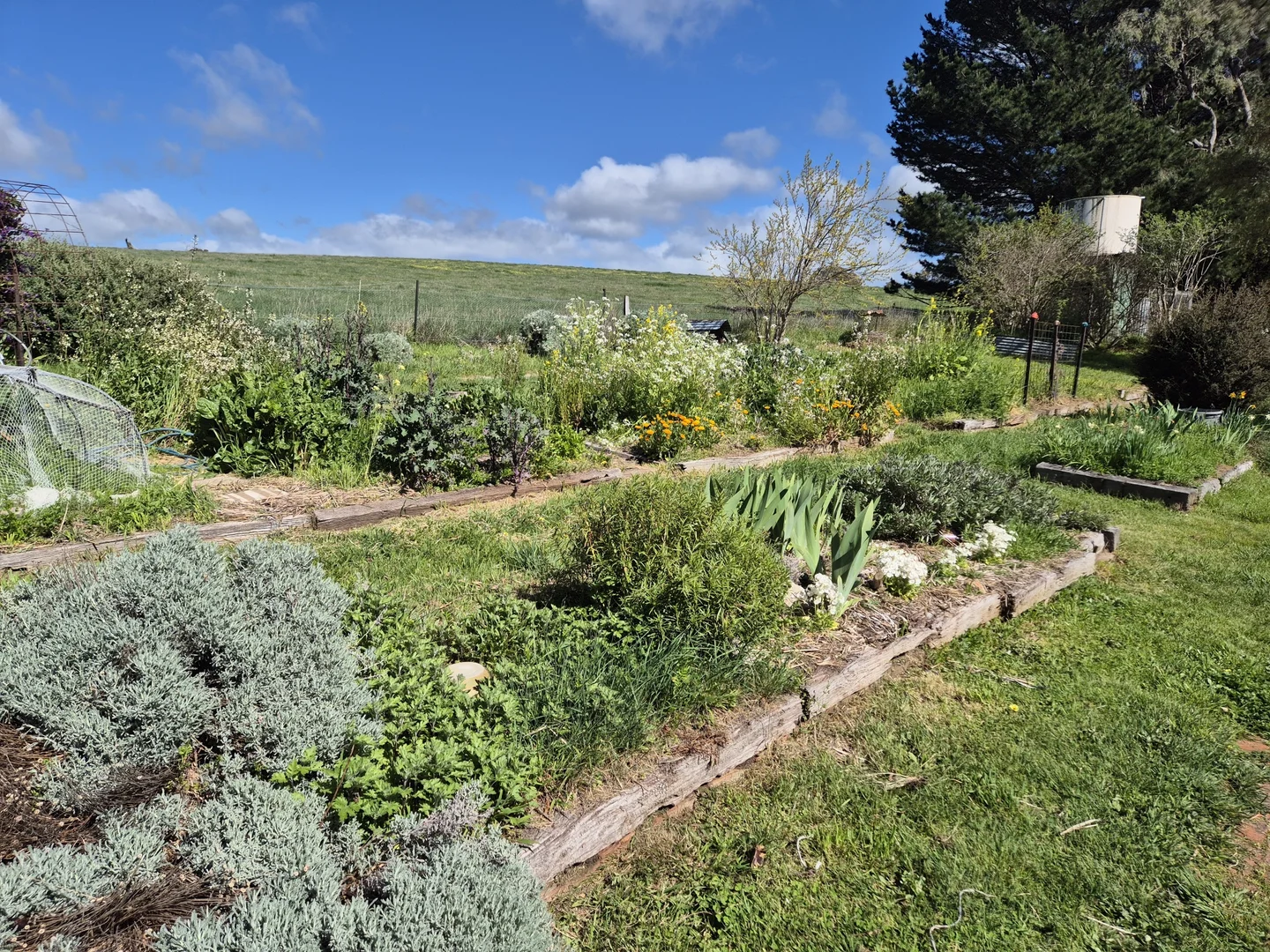 Additional image 26 of 2122 Euroa-Strathbogie Road, Strathbogie VIC 3666