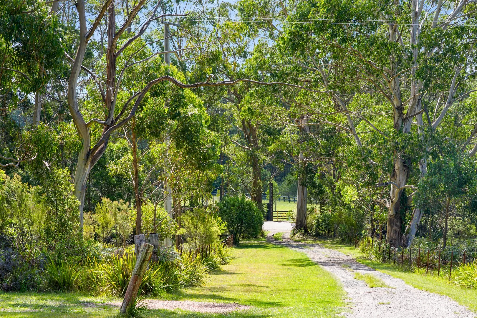 Additional image 25 of 103 Wallaby Hill Road, Robertson NSW 2577