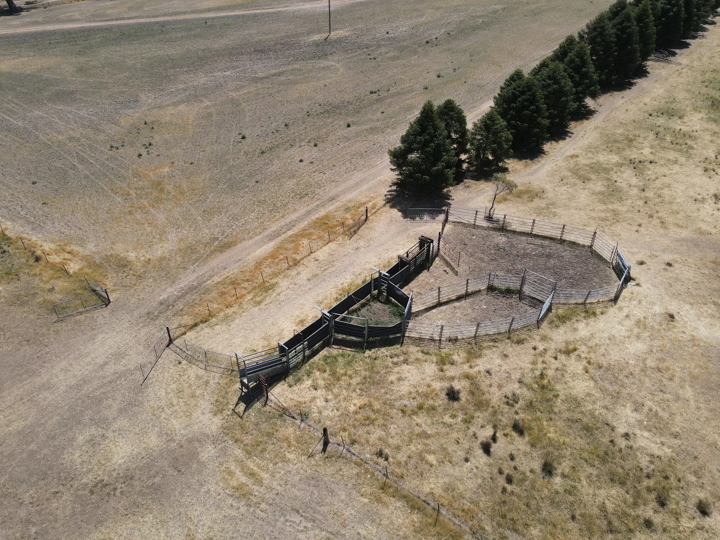 Additional image 15 of "Babynda" 829 Eulimore Road, Eugowra NSW 2806