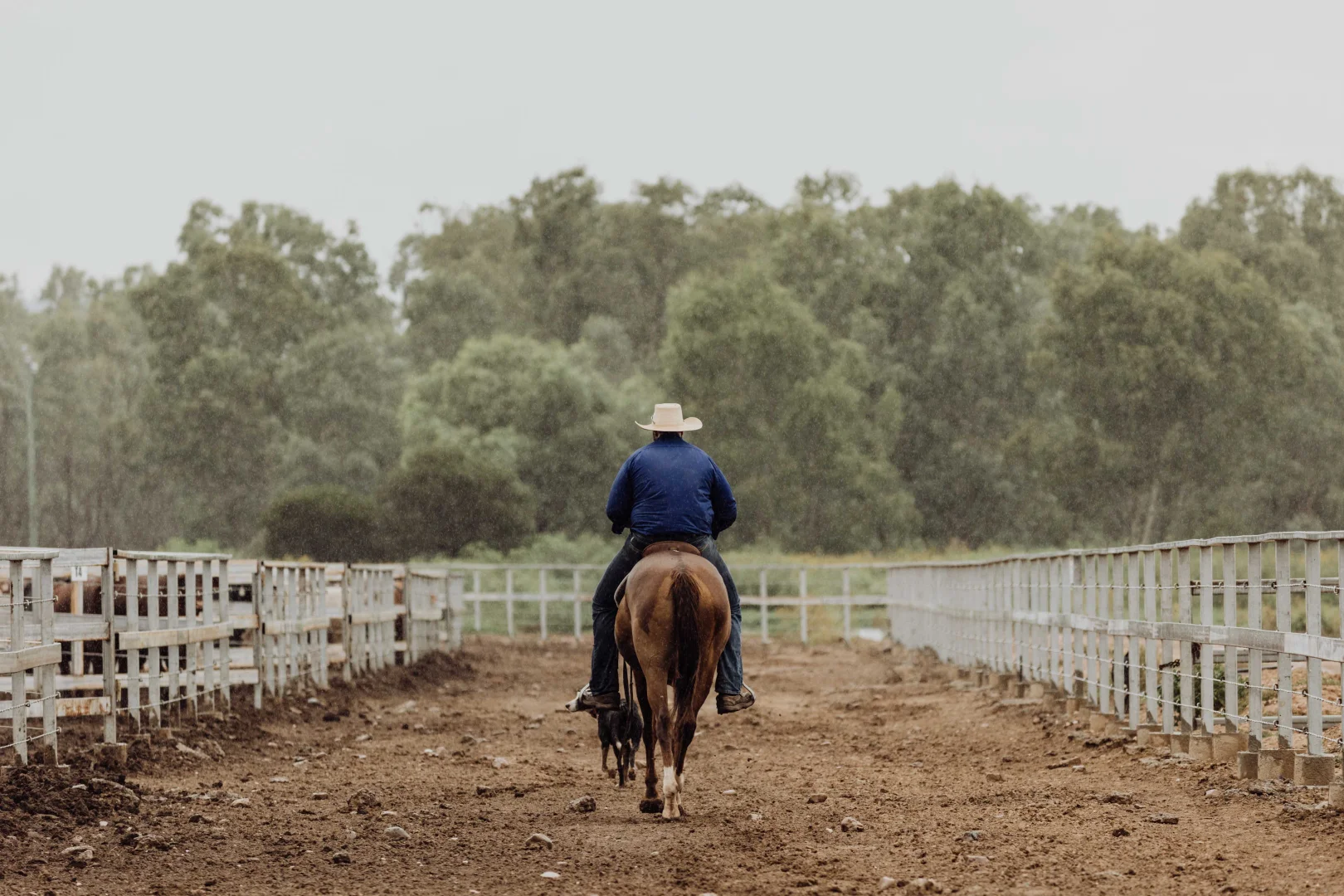 Additional image 10 of Springsure QLD 4722