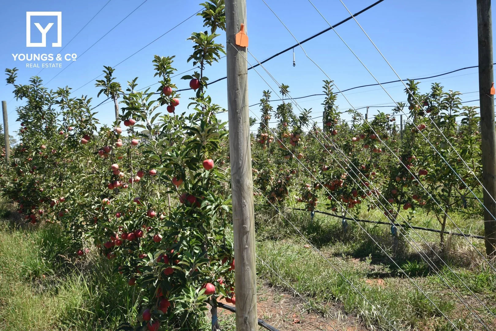 Additional image 4 of 508 Fenaughty Road, Tatura VIC 3616