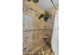 Additional image 7 of 217 Velma St, Grandview, WA, 98930