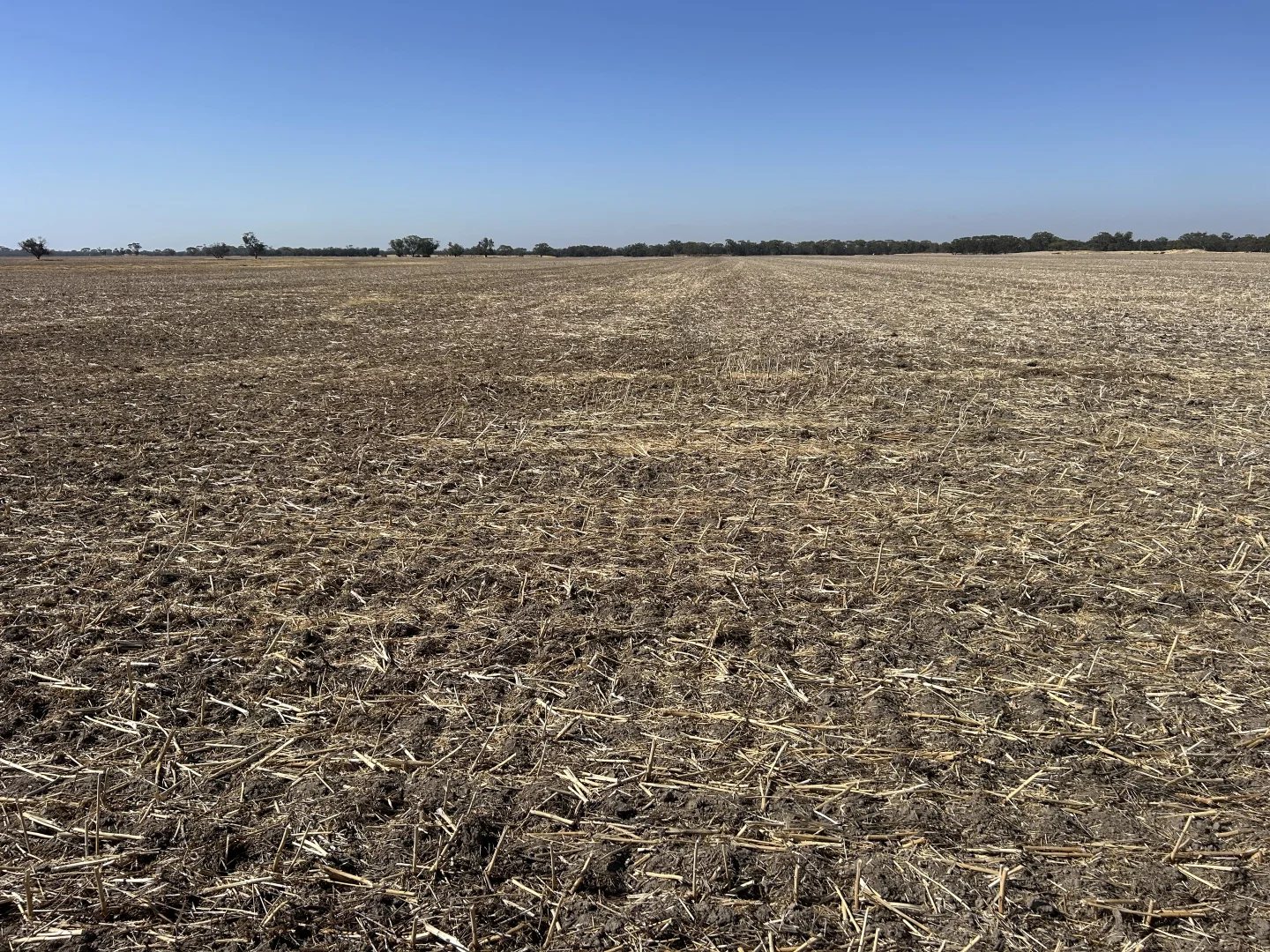 Additional image 6 of Dwarlacking Road, Bulyee WA 6306