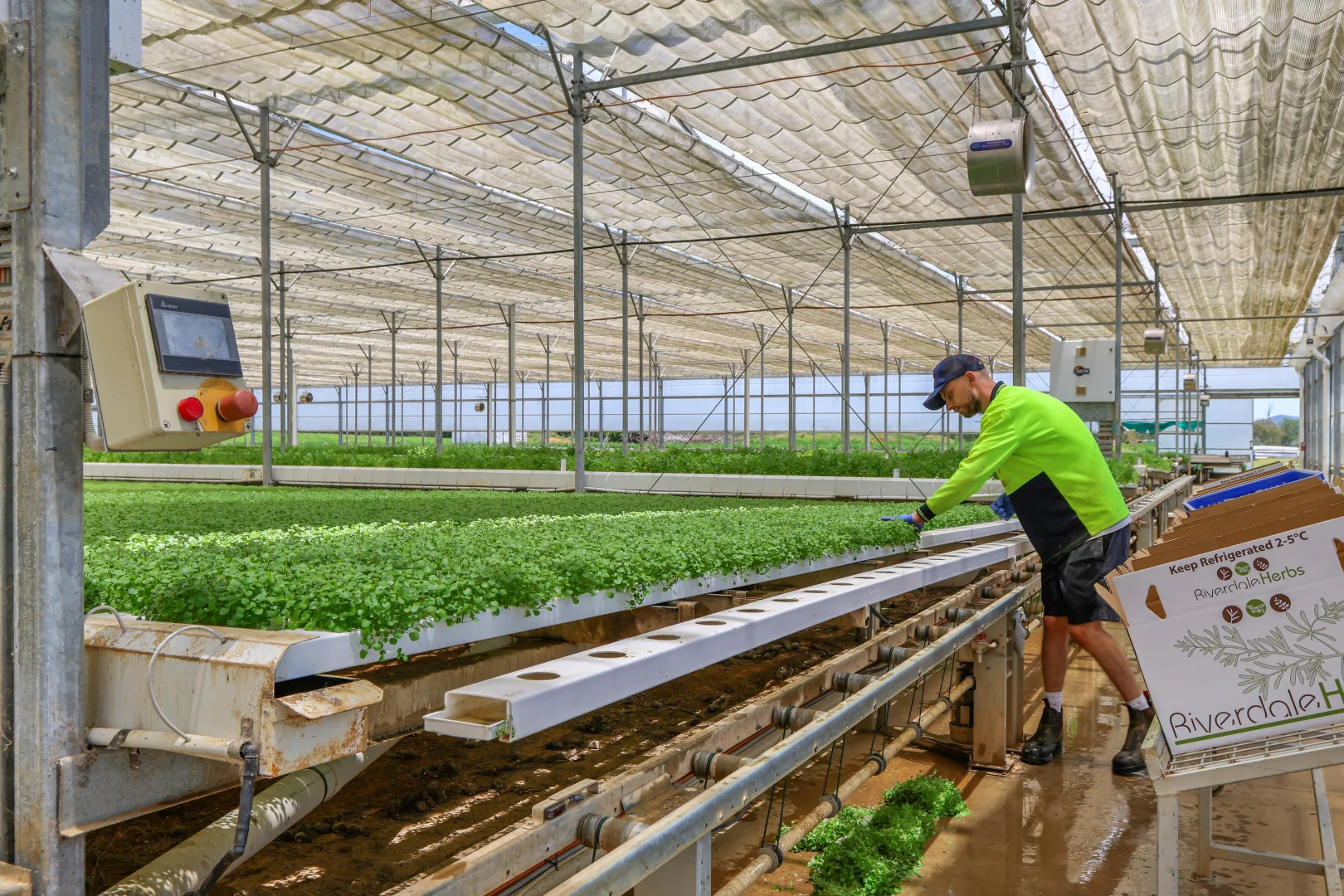 Additional image 18 of 178 Dunns Avenue, Harrisville QLD 4307