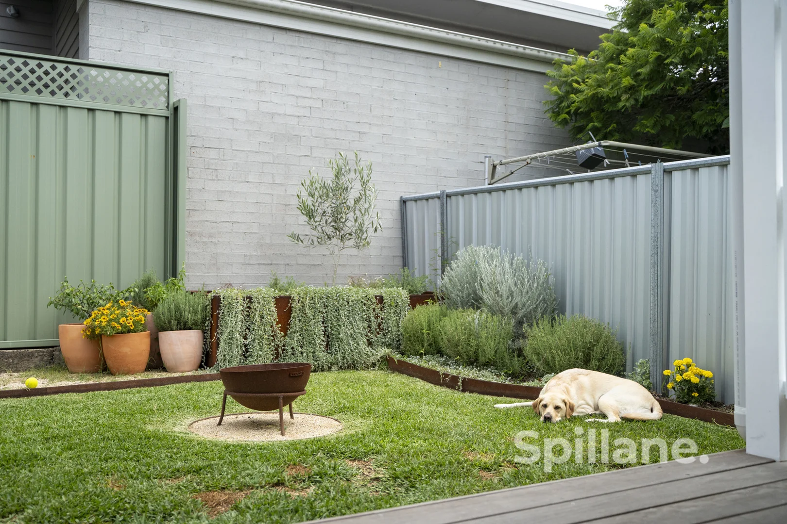 Additional image 14 of 7 Edward Street, Georgetown NSW 2298