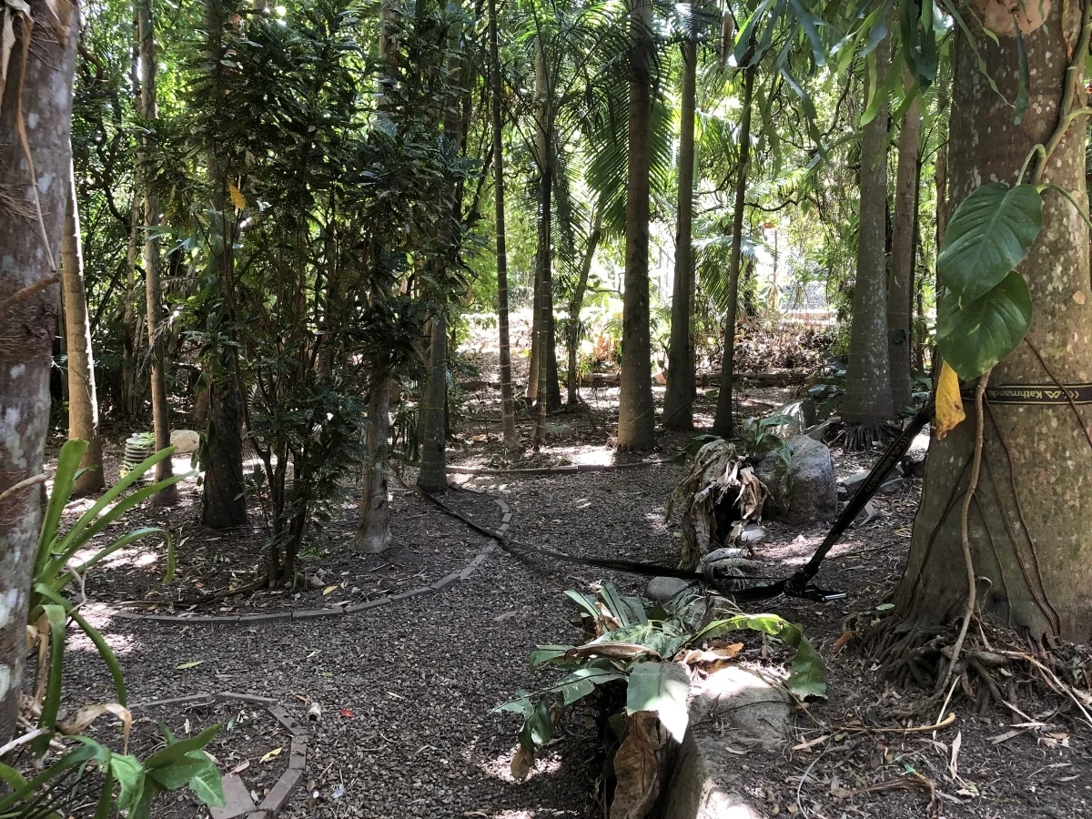 Additional image 42 of 34 Savage St, Cooktown QLD 4895