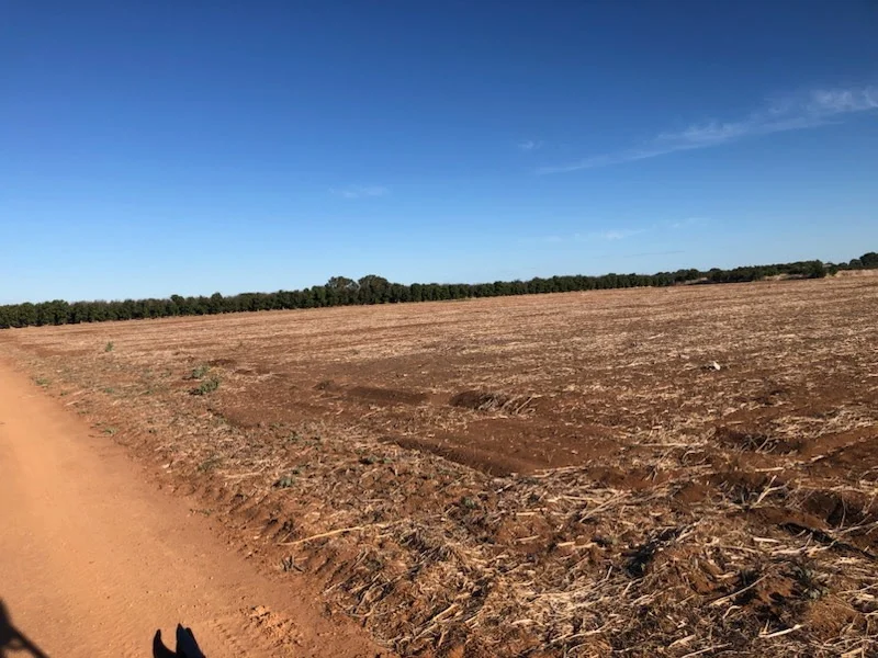 Additional image 4 of Midlands Road, Dongara WA 6525