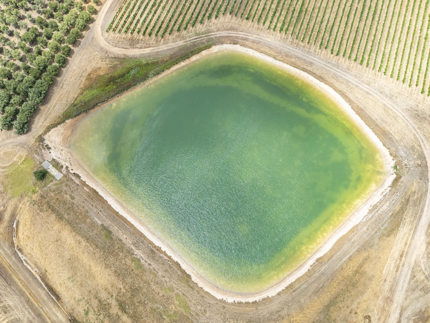 Additional image 9 of Lot 502 Clews Road, Cowaramup WA 6284