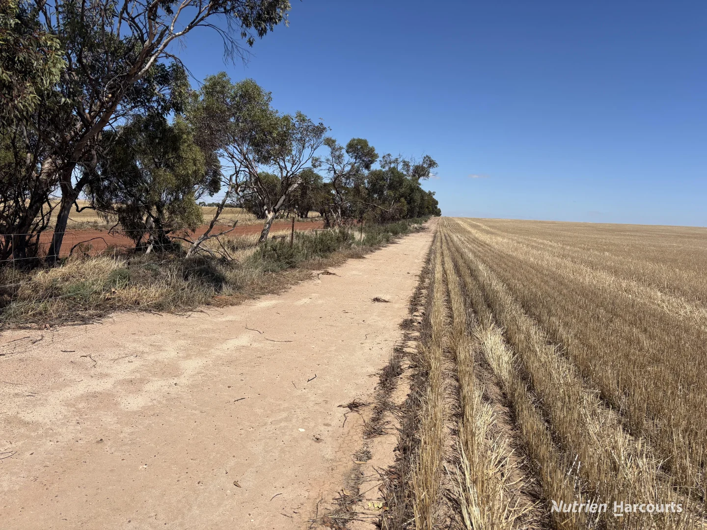 Additional image 7 of . 'Jurocken & Corrylyn', Dowerin WA 6461