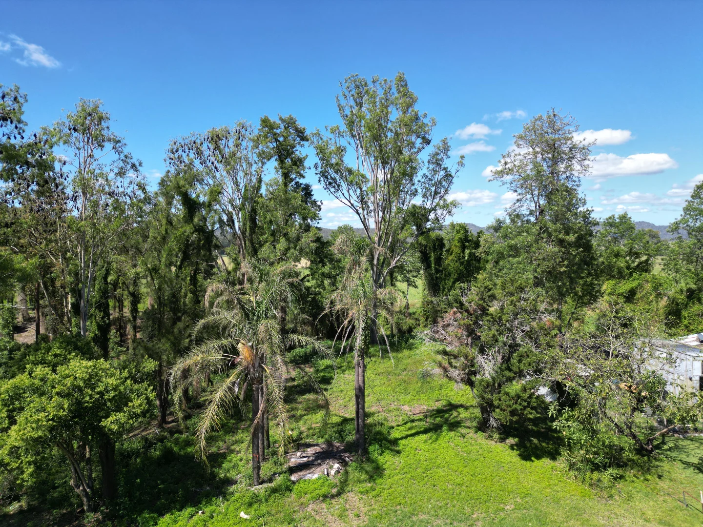 Additional image 9 of 9 Barnes Street, Tabulam NSW 2469