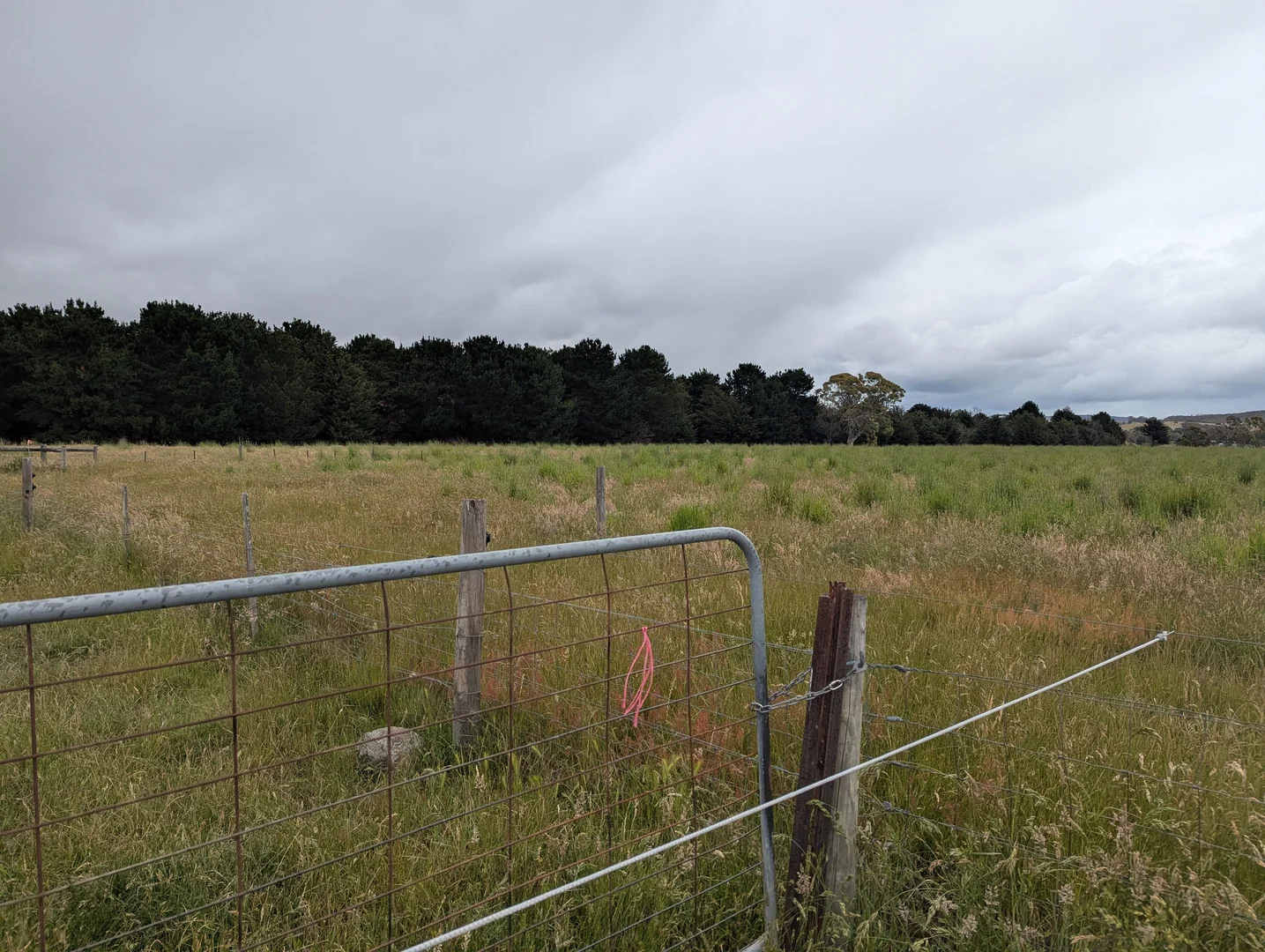 Additional image 6 of 545 Kilmore-lancefield Road, Forbes VIC 3764