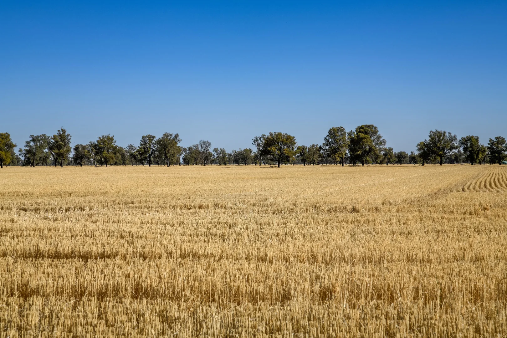 Additional image 9 of CA 37B & CA 38A Natimuk-Hamilton Road, Noradjuha VIC 3409