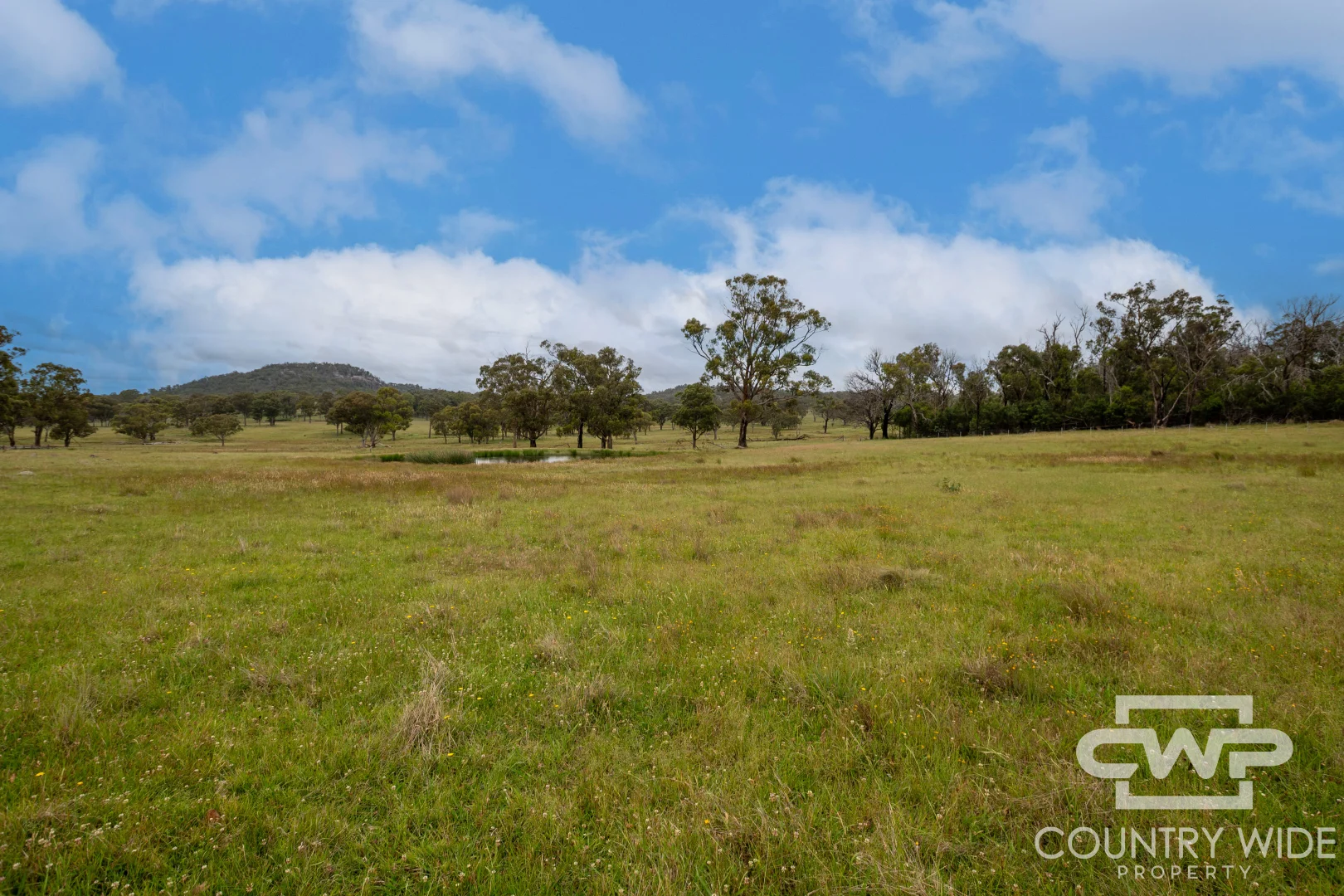 Additional image 8 of 24 Cemetery Road, Torrington NSW 2371