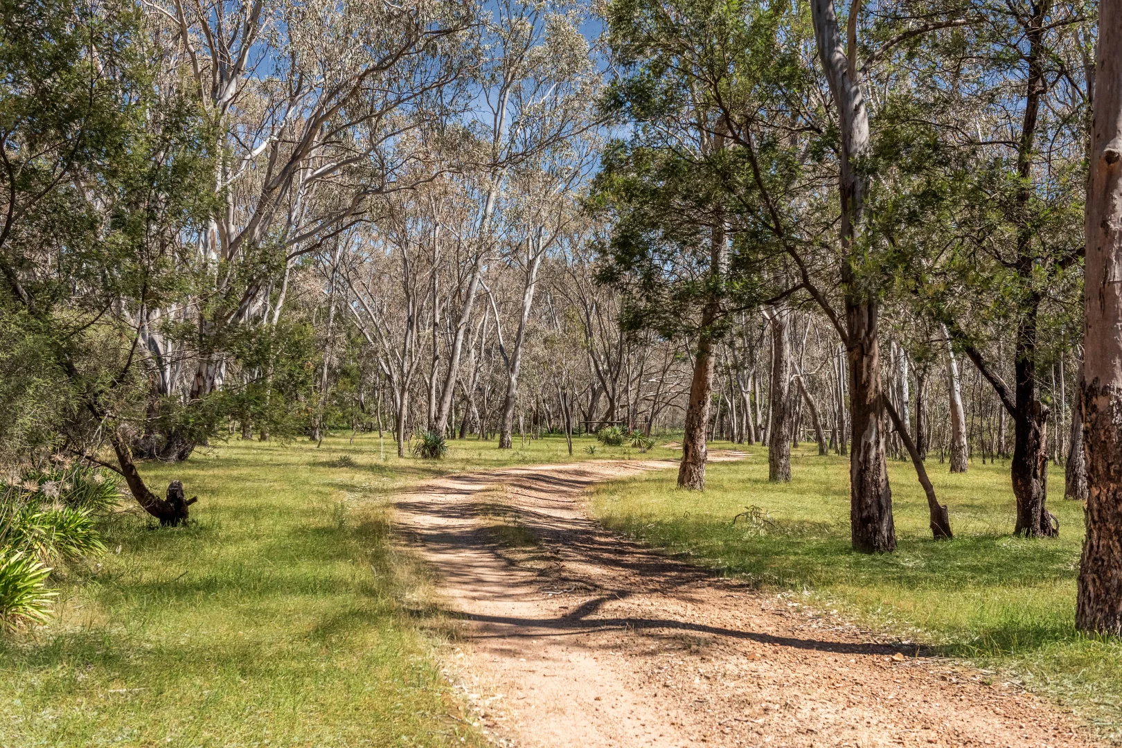 Additional image 11 of 61 Redcastle Cemetery Road, Redcastle VIC 3523
