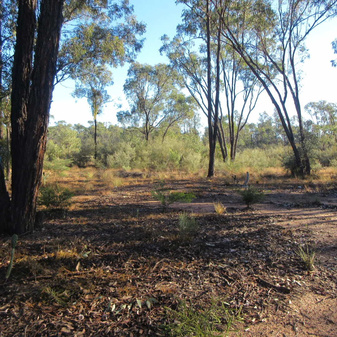 Additional image 9 of 569 Goranba Lane, Goranba QLD 4421