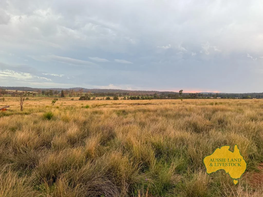 Additional image 16 of 373 Ormonde Road, Monogorilby QLD 4626