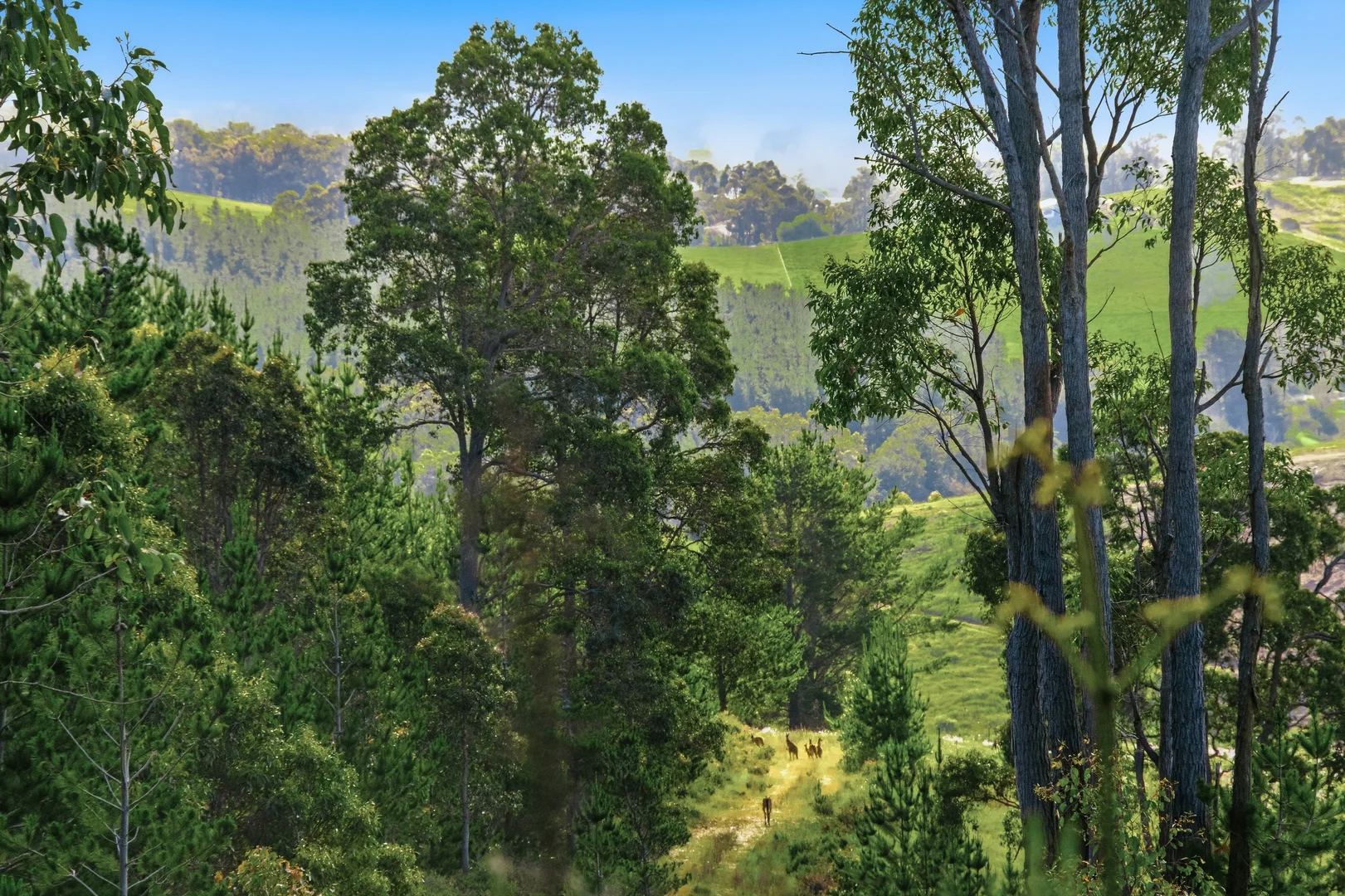 Additional image 8 of 7953 Brockman Highway, Nannup WA 6275