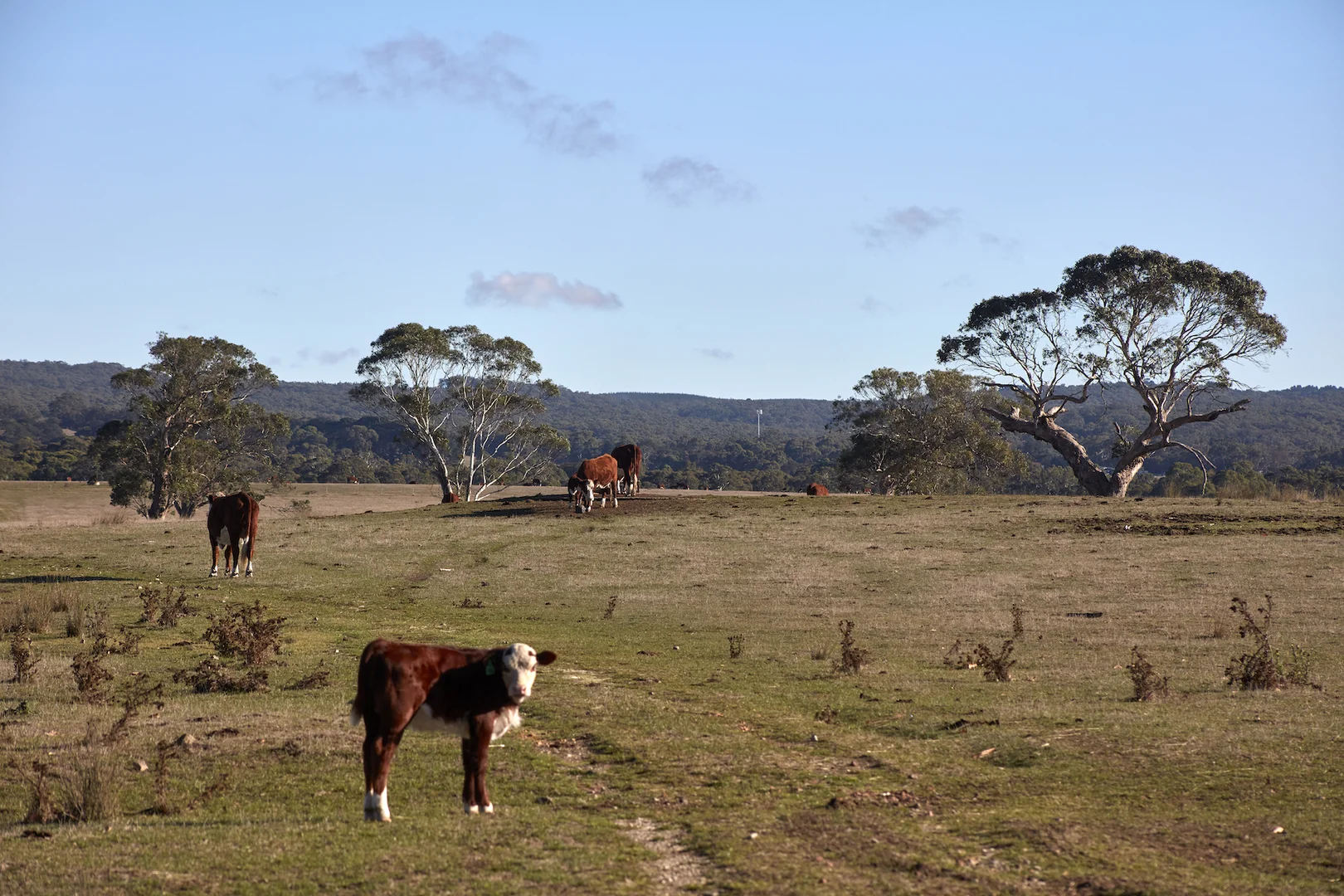 Additional image 4 of 9 Lawson Road, Gisborne VIC 3437